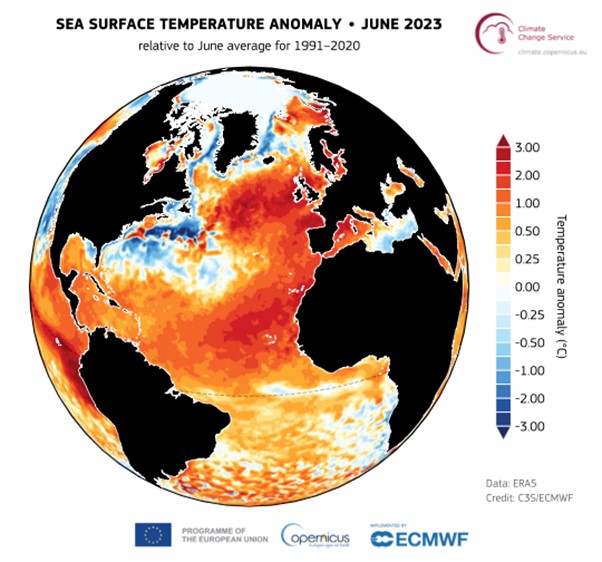 Sea surface temperature anomaly for June