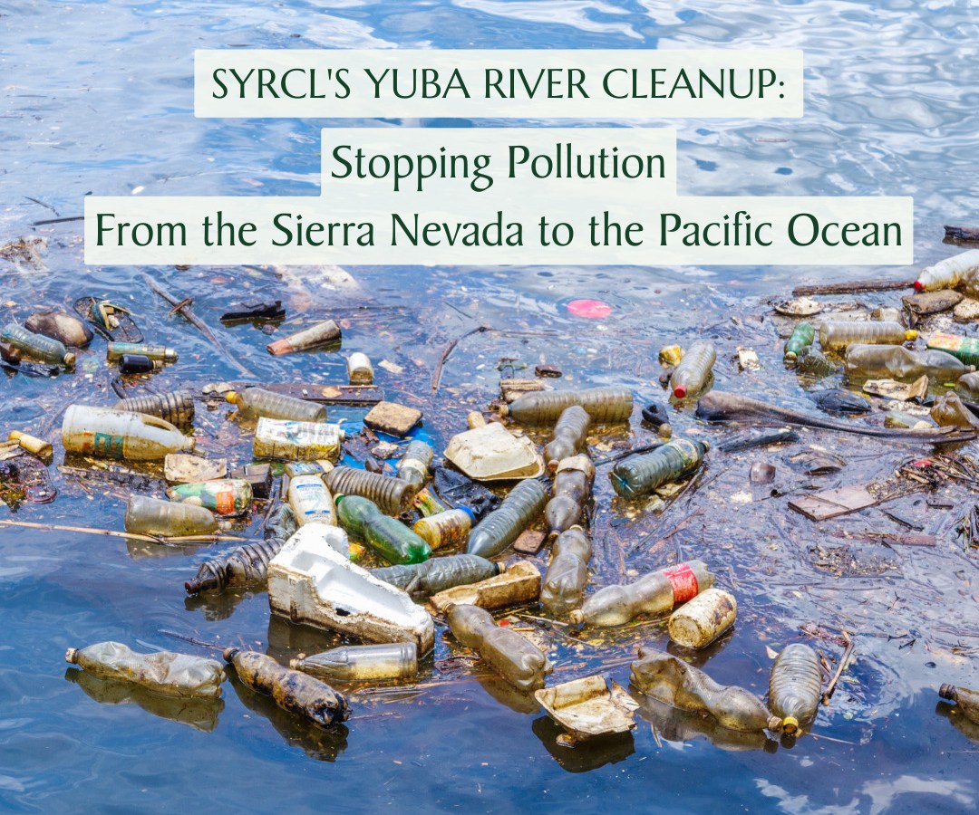 SYRCL’s Annual Yuba River Cleanup
