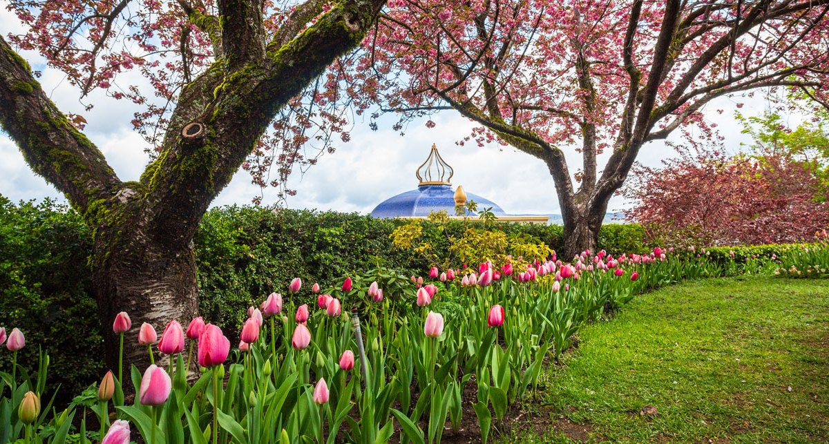Ananda’s Crystal Hermitage Garden near Nevada City, California showcases over 17,000 tulips each spring.