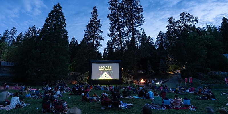 Movies Under the Pines