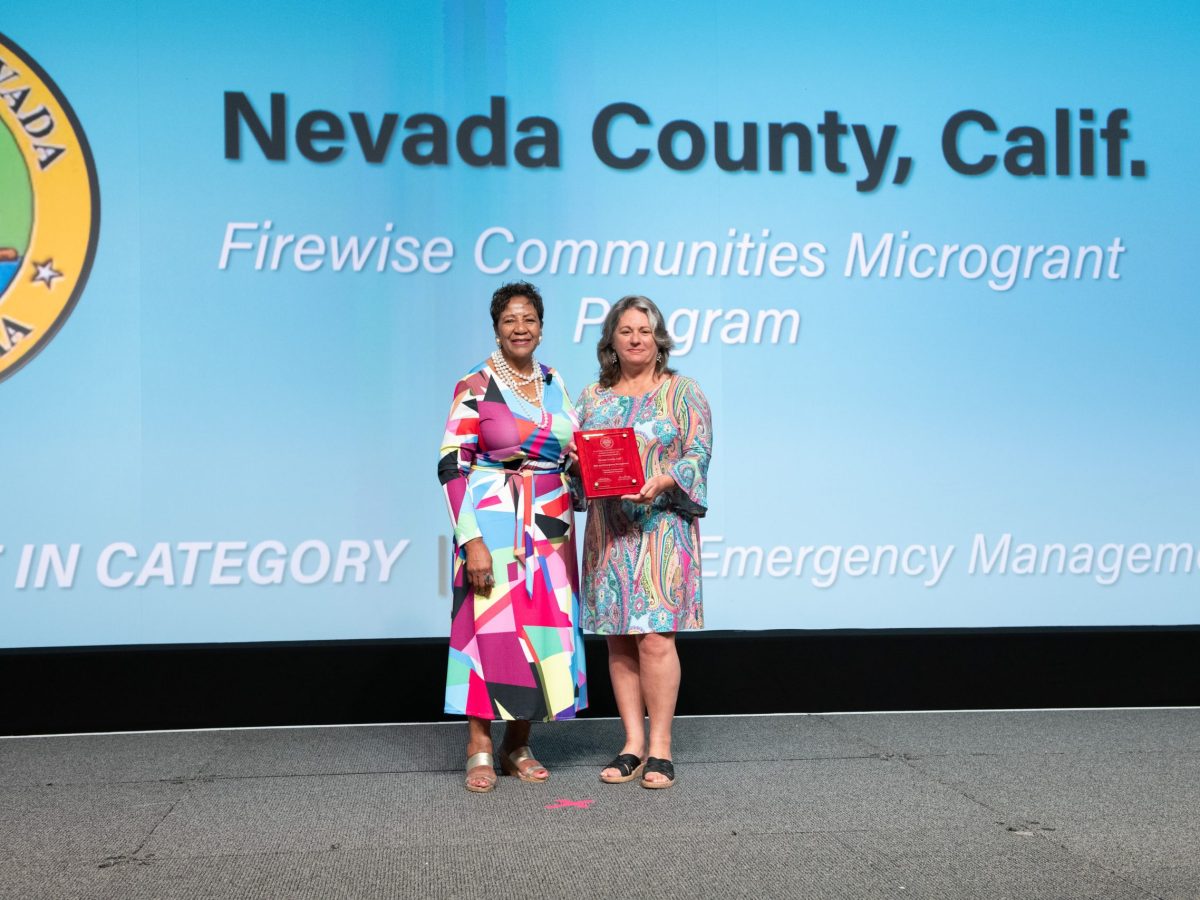 NACo Immediate Past President Denise Winfrey presents the 2023 NACo Achievement Award: Best in Category to Supervisor Heidi Hall