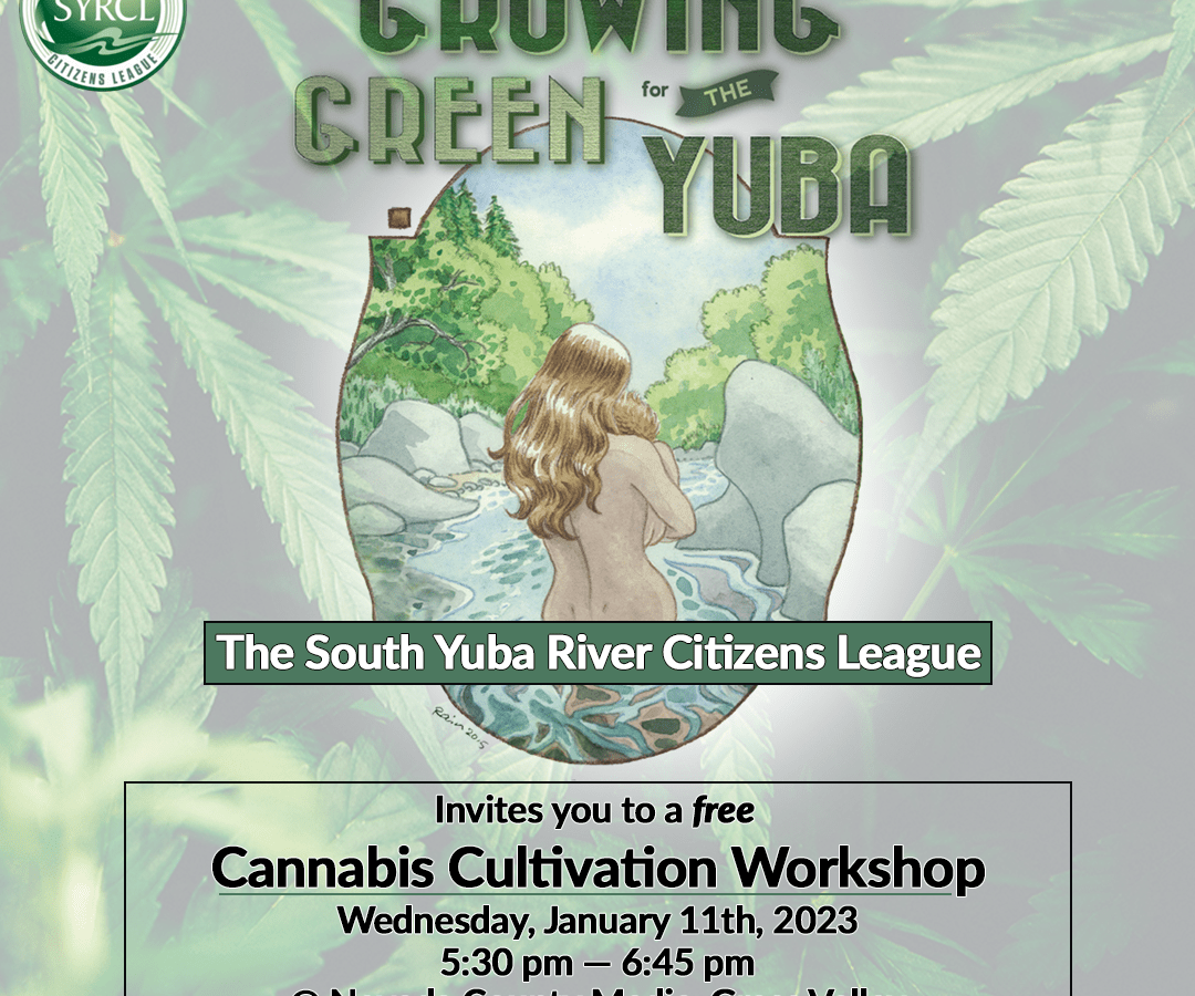 January 11th from 5:30 to 6:45, join SYRCL, with guest speakers from the Nevada County Cannabis Alliance, at Nevada County Media at 355 Crown Point Circle in Grass Valley to discuss the community impacts of cannabis cultivation, regulation considerations, and dive into some of the myths surrounding cannabis cultivation practices.
