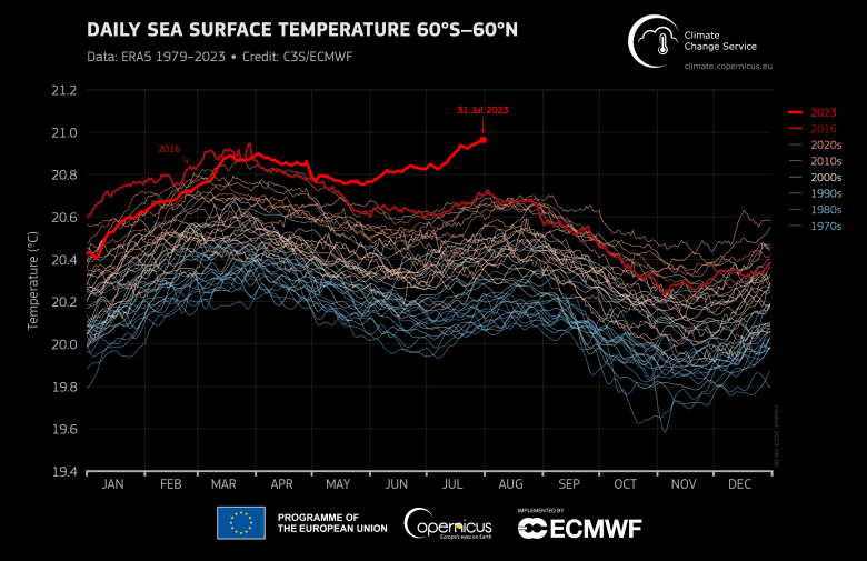  Daily global sea surface temperature (°C) averaged over the 60°S–60°N domain plotted as a time series for each year from 1 January 1979 to 31 July 2023. The years 2023 and 2016 are shown with thick lines shaded in bright red and dark red, respectively. Other years are shown with thin lines and shaded according to the decade, from blue (1970s) to brick red (2020s). Data: ERA5. Credit: C3S/ECMWF.  