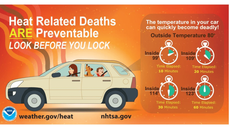 Heat Related Deaths ARE Preventable, Look Before You Lock!
