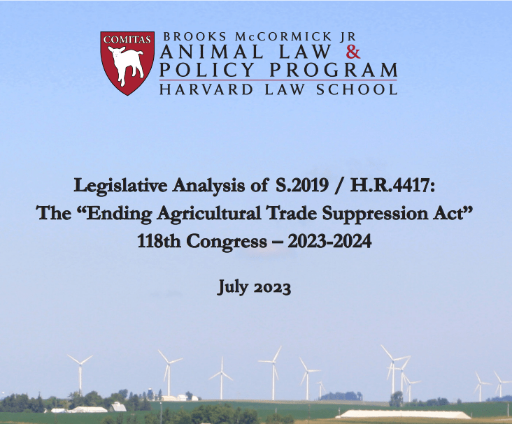 A new report analyzing the “Ending Agricultural Trade Suppression Act” (“EATS Act”) and its potential widespread consequences was released today (July 26, 2023) by the Brooks McCormick Jr. Animal Law & Policy Program at Harvard Law School.